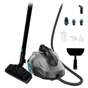 Vaporeta Cecotec HydroSteam 2000 EasyHome Max 2000W