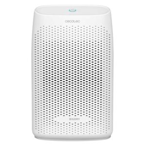 Deshumidificador Cecotec BigDry 2000 Essential